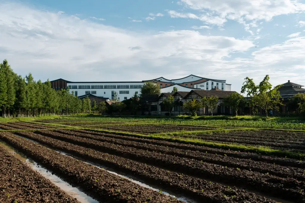 重庆智能家居安防系统技术方案选型与设计要点